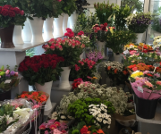 14 mei MOEDERDAG