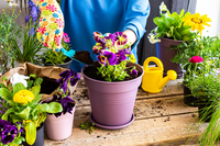 De lente komt eraan... 15 tuintips voor maart!