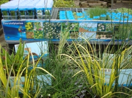 waterplanten
