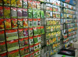 Bloembollen en zaden