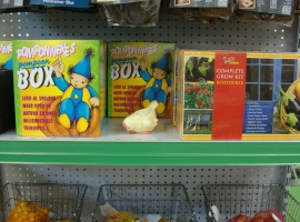 Bloembollen en zaden